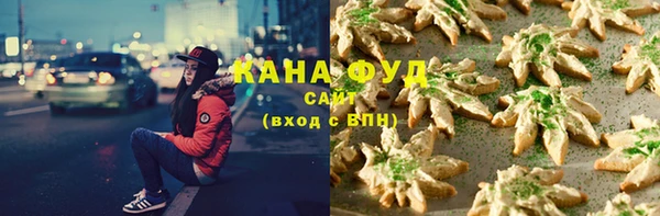индика Сафоново