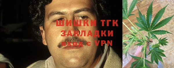индика Сафоново
