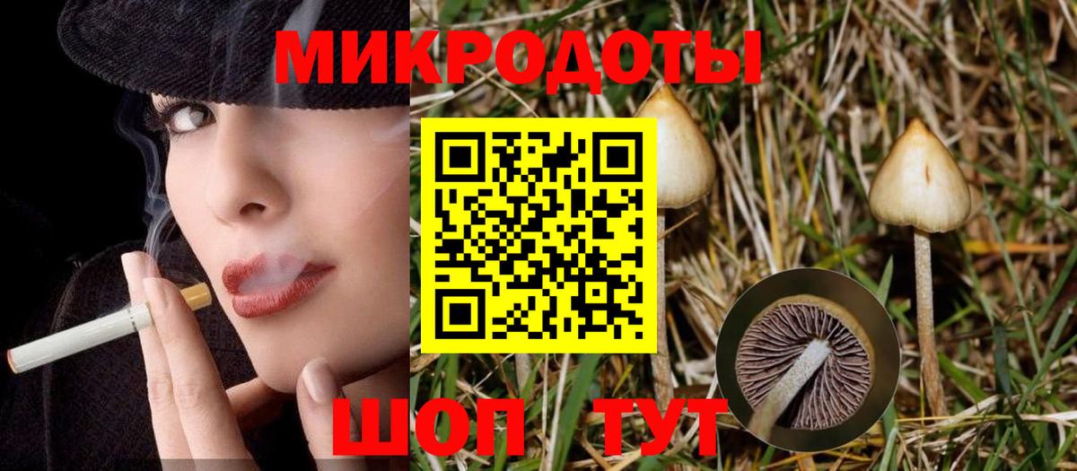 Псилоцибиновые грибы прущие грибы Кудымкар