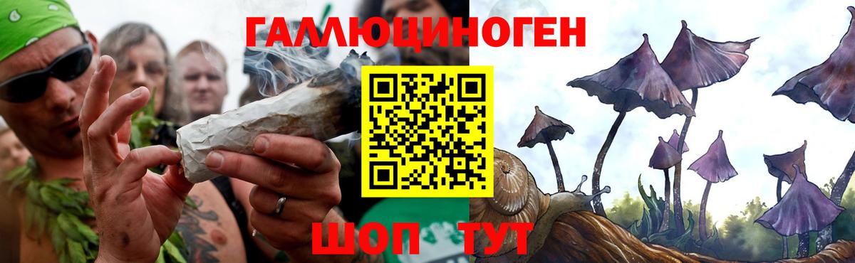 Псилоцибиновые грибы MAGIC MUSHROOMS  Псилоцибиновые грибы Cubensis  Вход с VPN  Кудымкар 